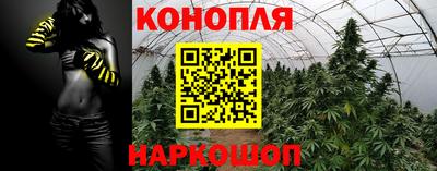 бошки Донецк