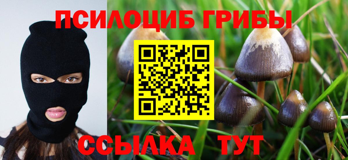 цены наркотик  Вход с VPN  Кинель  Галлюциногенные грибы MAGIC MUSHROOMS 